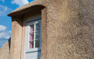 Trefilan thatch roof disadvantages